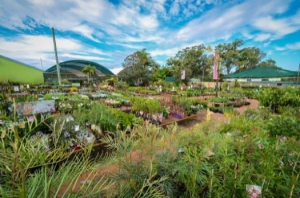 Position available: Retail Nurseryperson, Horticulturalist Job, Bayside & Eastern Suburbs QLD